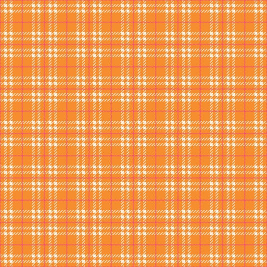 Plaid for Summer Pattern 13 Quilting Cotton Fabric