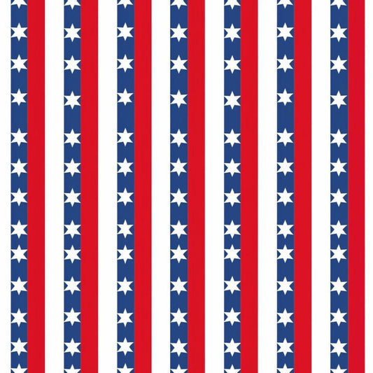 Patriotic Pattern 7 Quilting Cotton Fabric