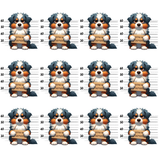 Doggie Mugshots Australian Shepherd Pattern Quilting Cotton Fabric