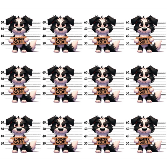 Doggie Mugshots Border Collie Pattern Quilting Cotton Fabric
