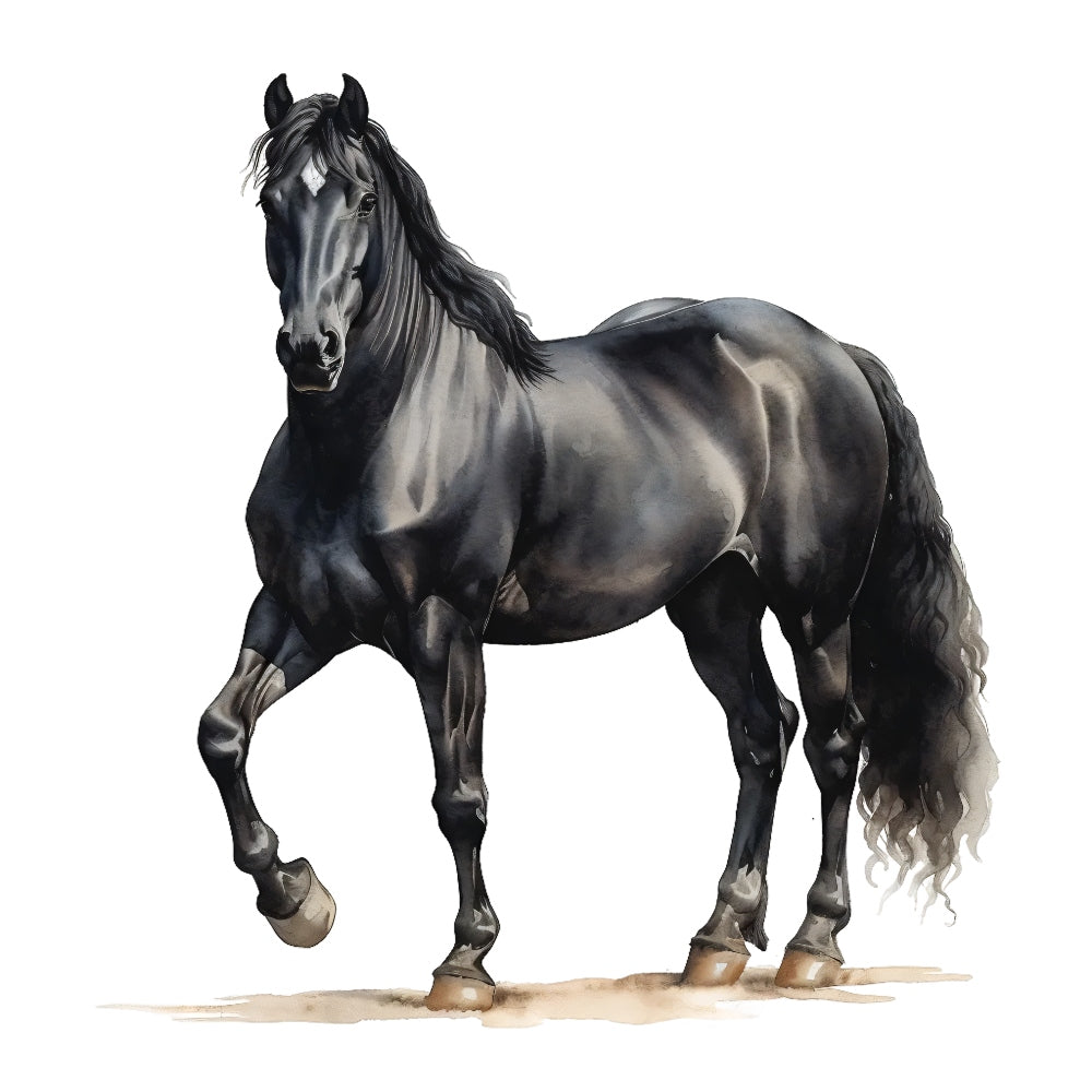 Majestic Horse Fabric Panel 19 featuring a detailed, realistic black horse illustration on premium quilting cotton fabric.