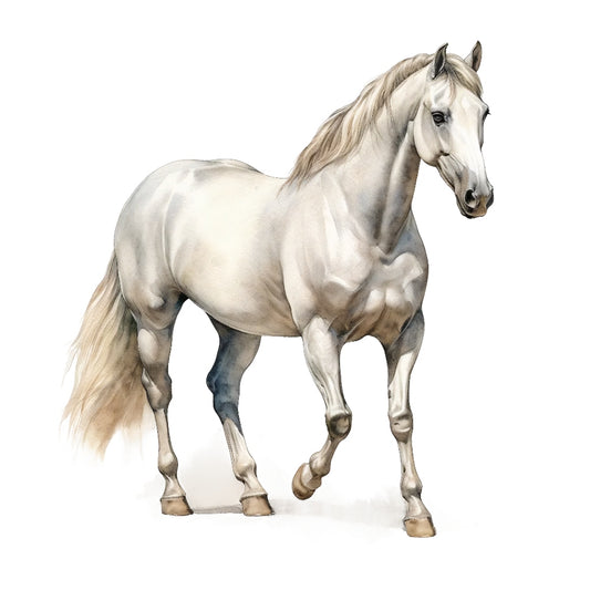 Majestic Horse Fabric Panel 23 featuring a detailed white horse print on premium 100% quilting cotton fabric.