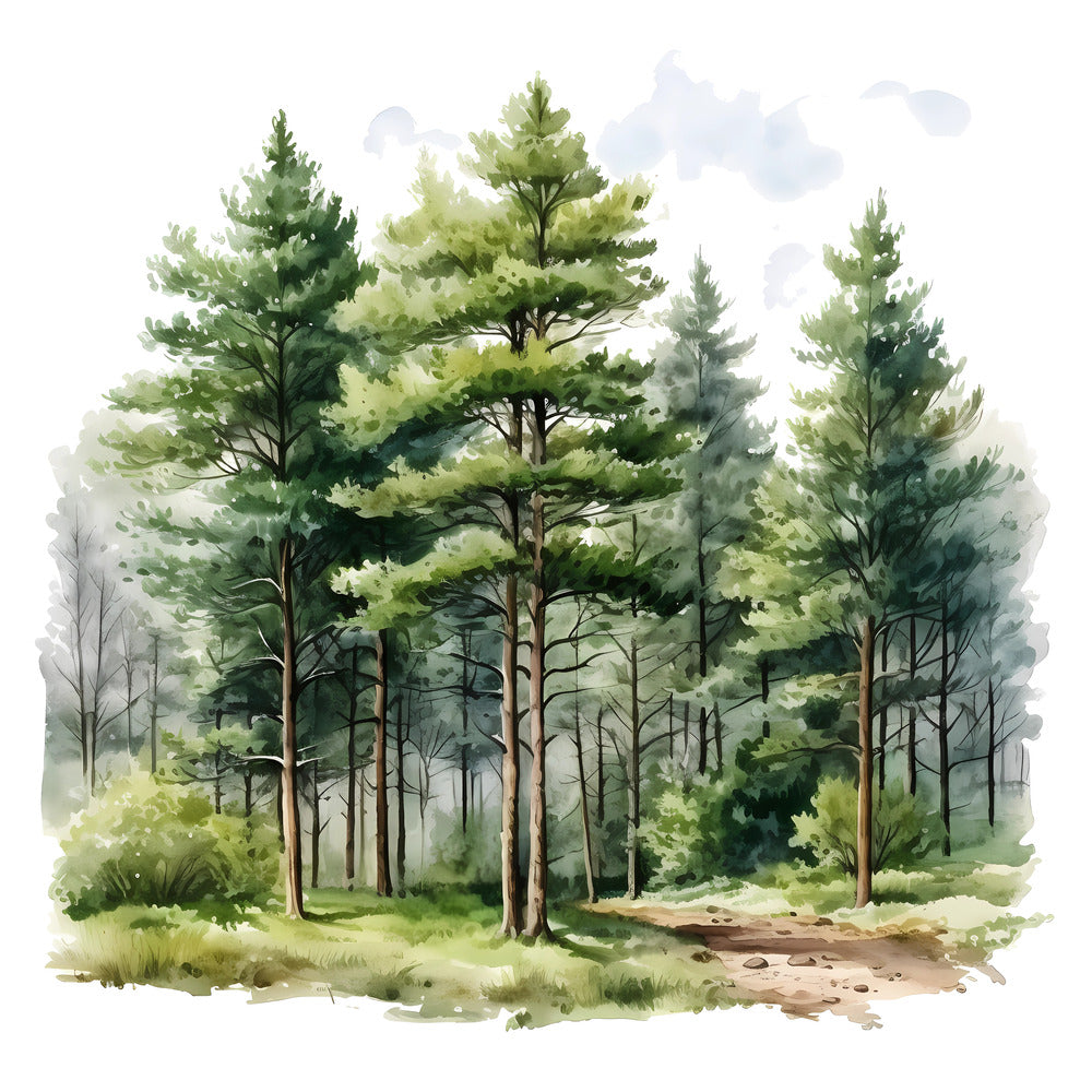 Woodland Forest Scene 5 Fabric Panel featuring a detailed watercolor illustration of tall pine trees on premium quilting cotton.