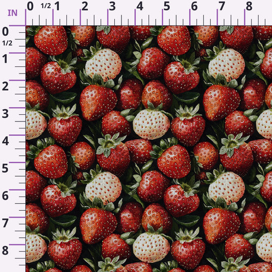 Hearthside Berry Garden Pattern 17 Minky Fabric