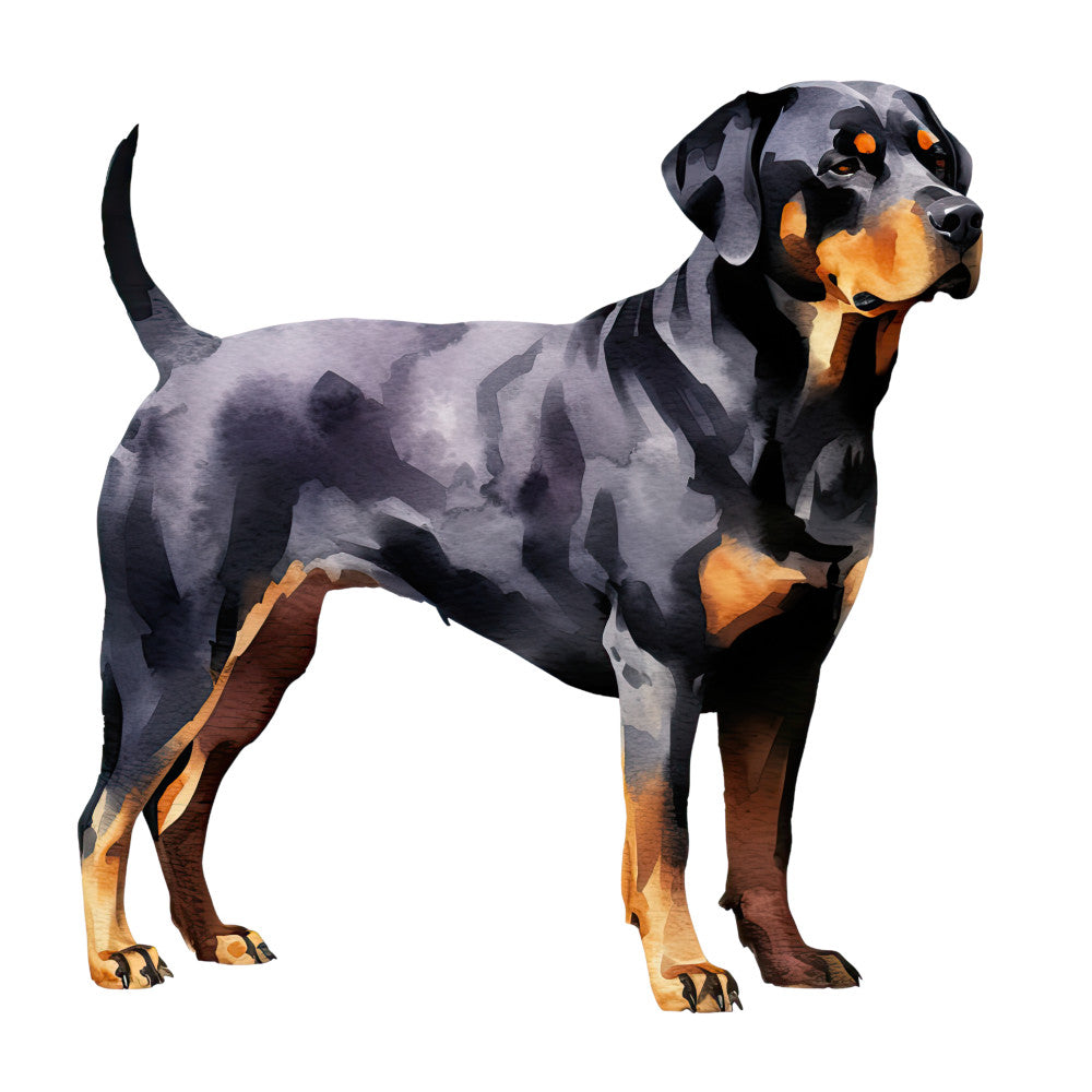 Watercolor Rottweiler Fabric Panel 28 showcasing a detailed, premium quality quilting cotton print of a standing Rottweiler dog in traditional colors.
