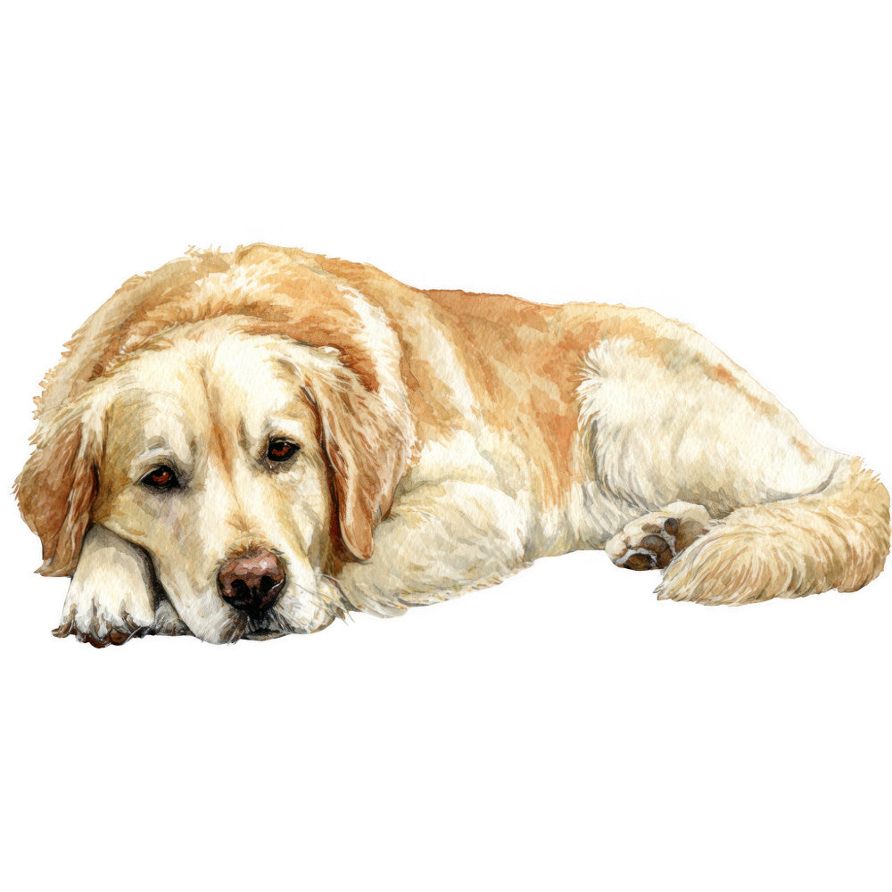 golden retriever, cream, tan, beige, light brown, fawn, dog portrait, animal, pet, realistic, watercolor style, dog lovers, animal lovers, nature, farmhouse, rustic, elegant, traditional, adorable, lying down, resting dog, relaxed, gentle, warm tones, neutral colors, home decor, wall hanging, dog breed