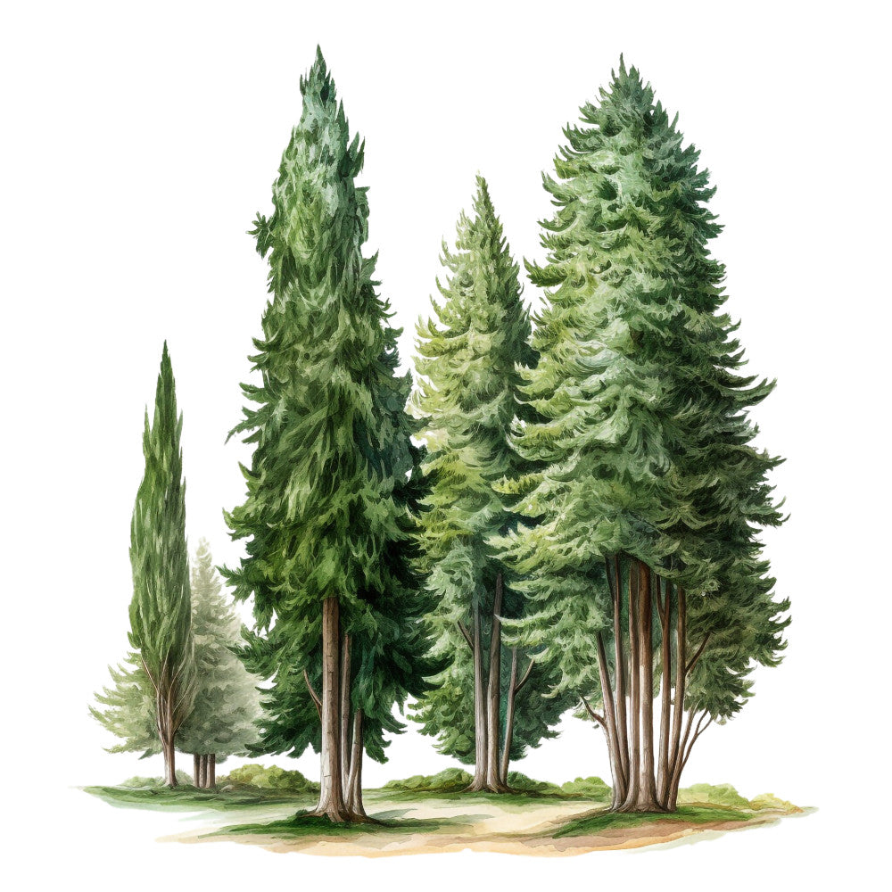 Welcome to Italy Fabric Panel 5