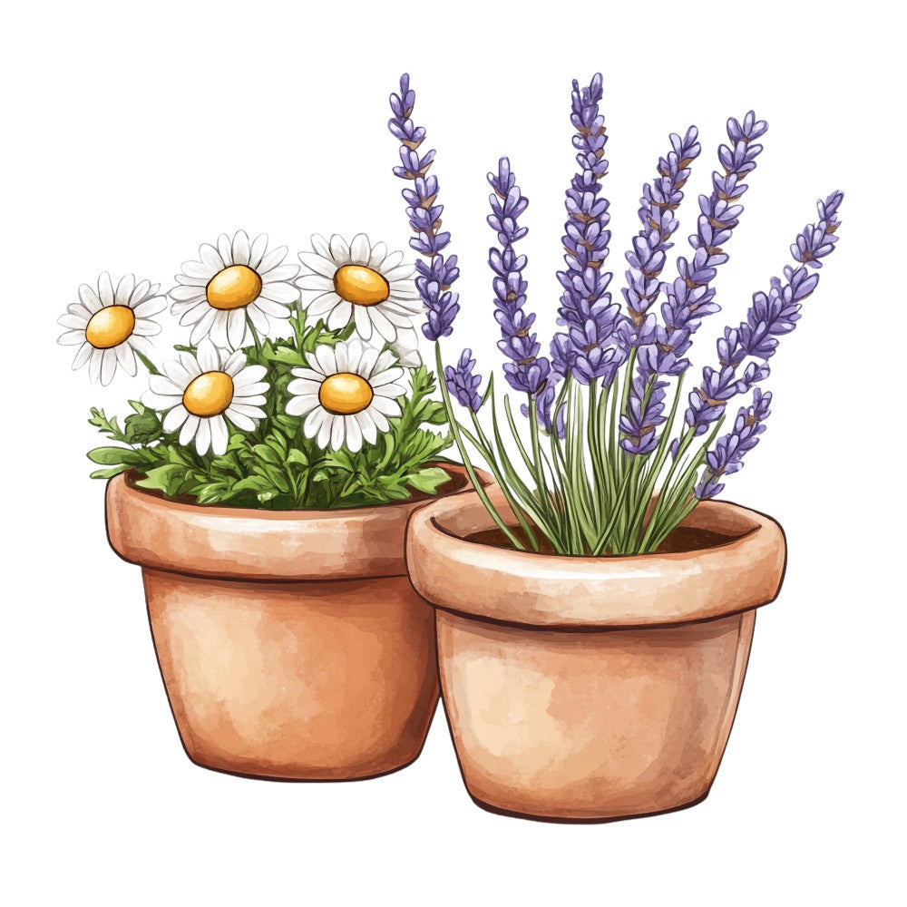 potted flowers, daisies, lavender, terracotta pots, white flowers, purple flowers, yellow centers, floral design, garden theme, botanical, nature, spring, summer, cottage garden, farmhouse style, rustic, whimsical, garden decor, potted plants, herbal flowers, provence style, french country, layered florals, charming, pastoral, decorative panel, home decor, cream white, lavender purple, golden yellow
