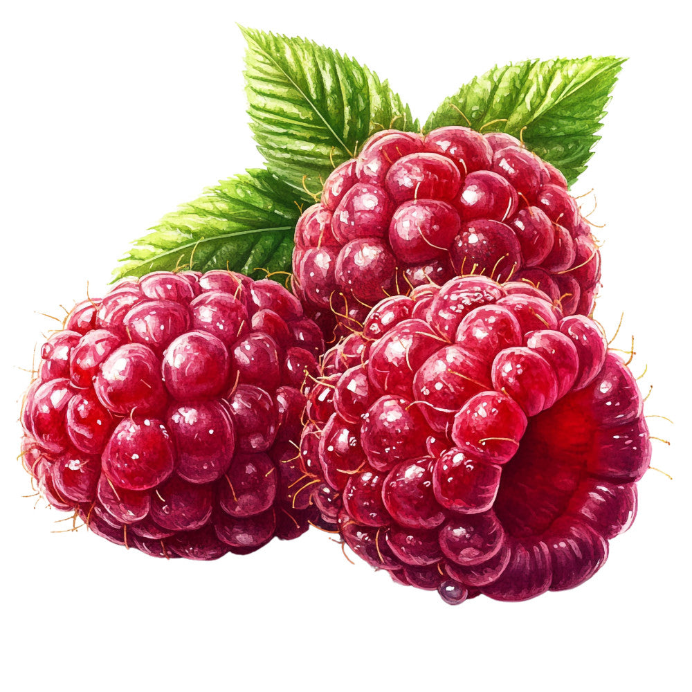 Raspberry Gardens Fabric Panel 32