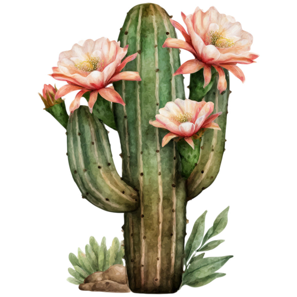 cactus, desert flowers, coral pink, sage green, peach, botanical, nature, succulent, southwestern, boho, bohemian, floral, desert bloom, rustic, whimsical, spring, summer, prickly pear, wildflowers, cottage core, botanical illustration, earthy tones, natural, garden theme, wall hanging, home decor, trending prints, watercolor style, delicate flowers, desert landscape