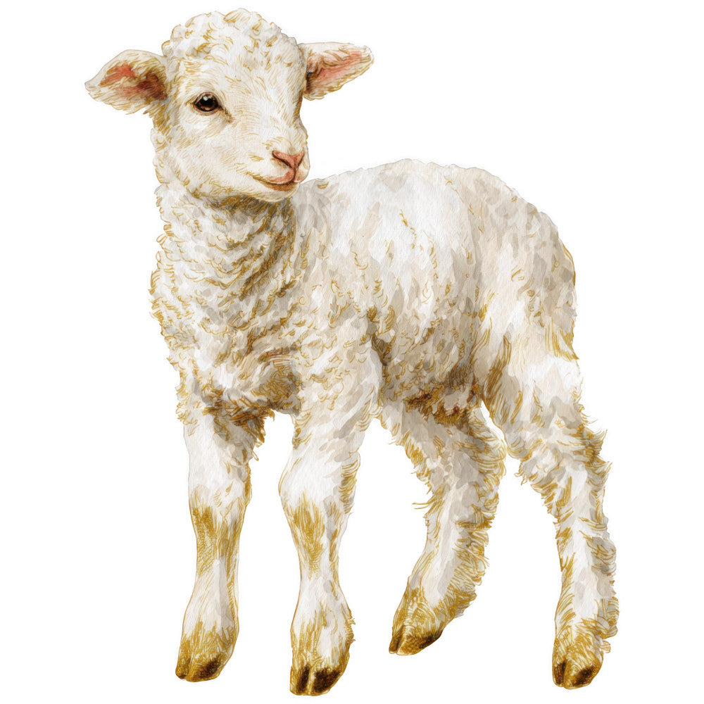 cream, white, gold, beige, lamb, sheep, baby animal, nativity, religious, christmas, watercolor style, soft illustration, fabric panel, quilting cotton, pastoral, gentle expression, fluffy wool, standing pose, neutral tones, farm animal