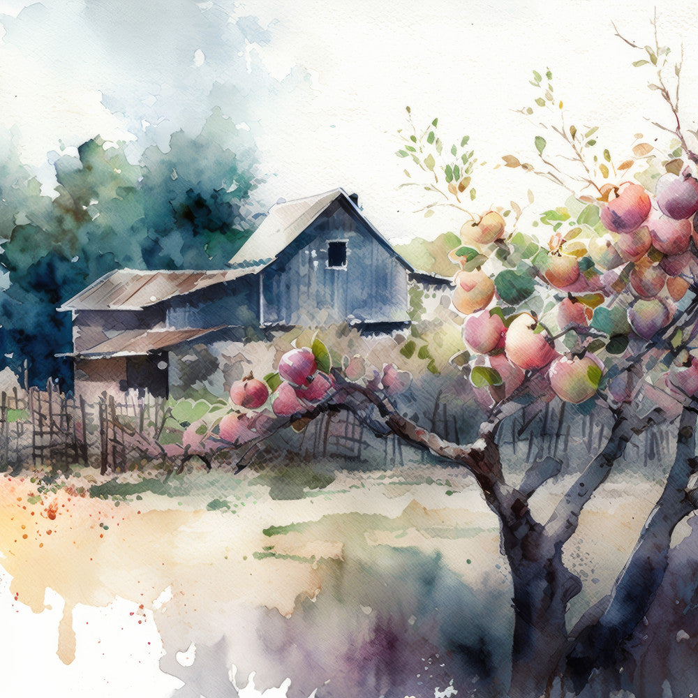 watercolor, farmhouse, rustic, vintage, apple orchard, apples, fruit, barn, countryside, pastoral, nature, botanical, trees, branches, leaves, soft watercolor, muted colors, sage green, dusty blue, cream, beige, tan, mauve, blush pink, red apples, traditional, countryside living, orchard scene, harvest, autumn