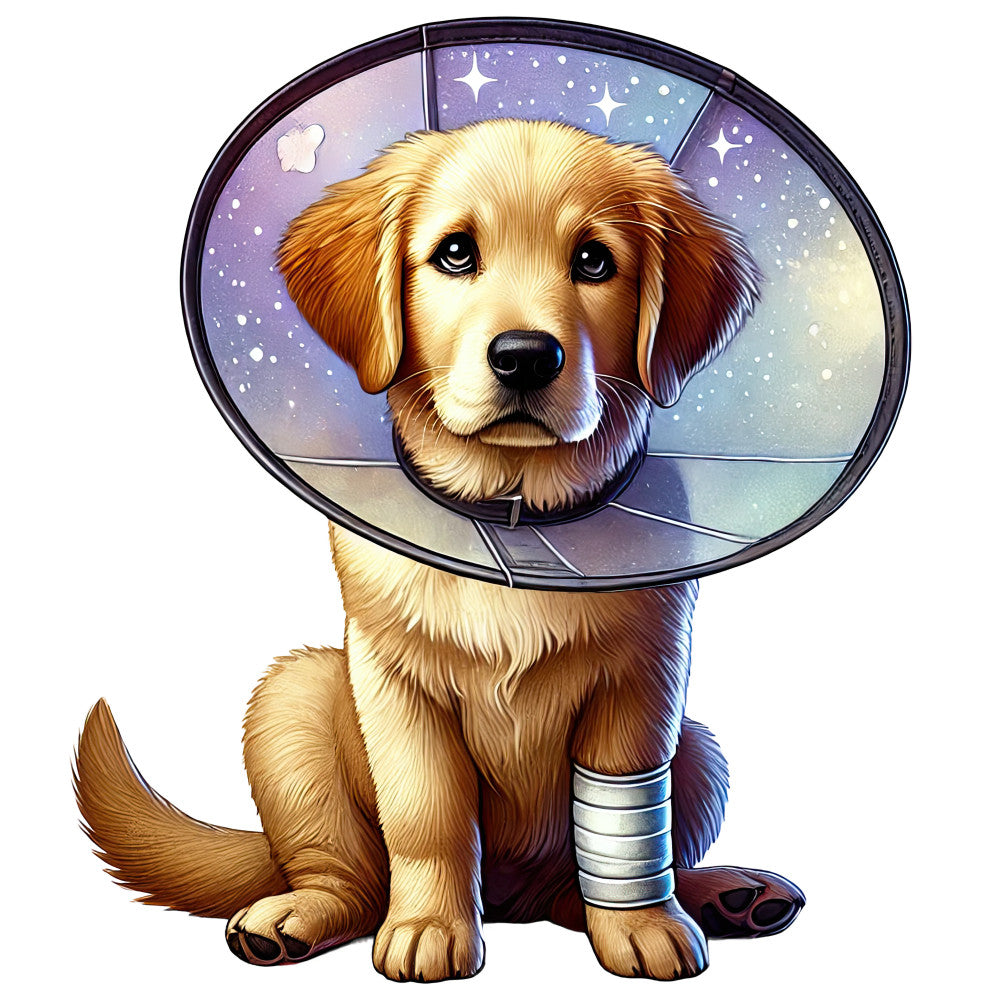 Veterinary Clinic Fabric Panel 22