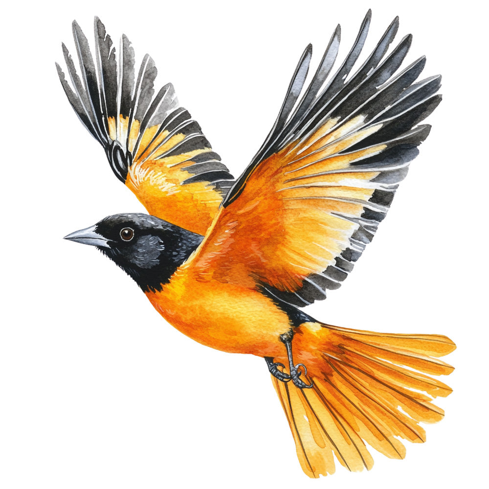 baltimore oriole, bird fabric panel, orange plumage, black head, gray wings, yellow accents, wildlife design, nature motif, flying bird, spread wings, watercolor style, realistic illustration, spring bird, songbird panel, quilting fabric, cotton panel, craft fabric, sewing project, bird watching, ornithology theme