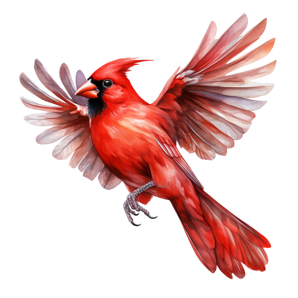 red cardinal, flying bird, spread wings, vibrant red, black markings, orange beak, watercolor style, realistic illustration, fabric panel, quilting cotton, bird artwork, nature theme, wildlife design, detailed feathers, soft pastels, wing span, perched claws, ornithology, songbird, bright crimson