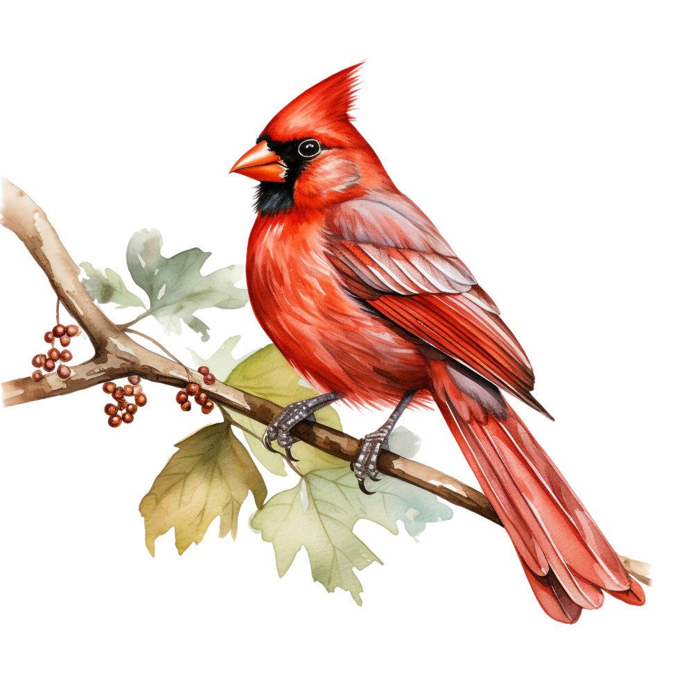 red cardinal, bird illustration, watercolor style, botanical branch, green leaves, brown berries, orange beak, black markings, nature scene, fabric panel, quilting cotton, wildlife design, autumn colors, perched bird, detailed feathers, rustic branch, natural elements, craft fabric, sewing panel