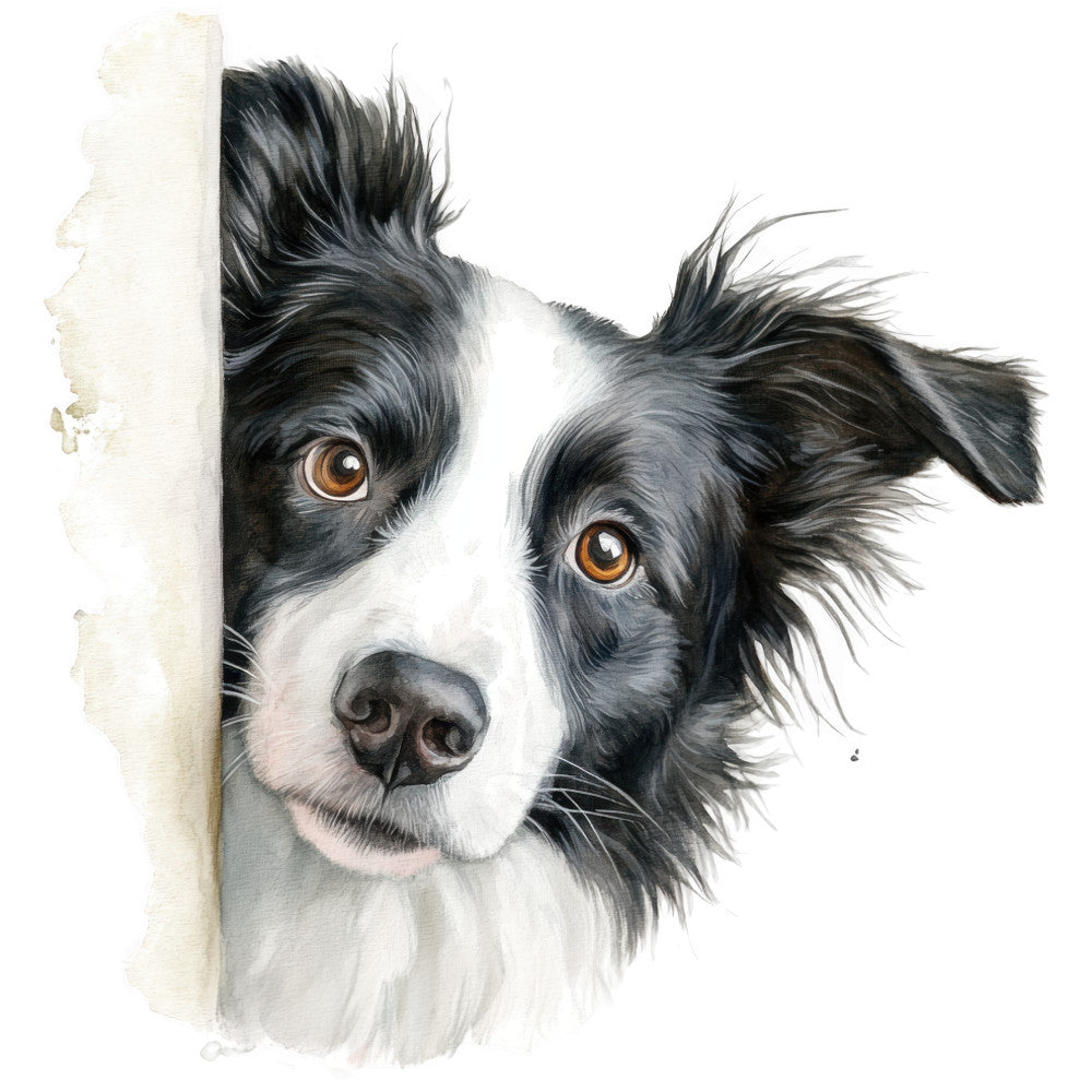 watercolor style, border collie, dog portrait, black and white fur, amber eyes, brown eyes, soft brushstrokes, realistic painting, animal art, fabric panel, quilting cotton, pet themed, canine subject, artistic rendering, neutral background, detailed fur texture, expressive eyes, contemporary art style, crafting material, sewing panel