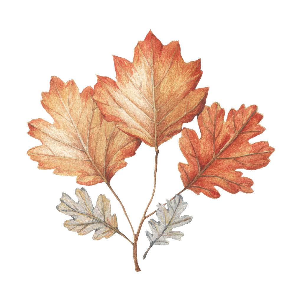 Cozy Autumn Cats Fabric Panel 22