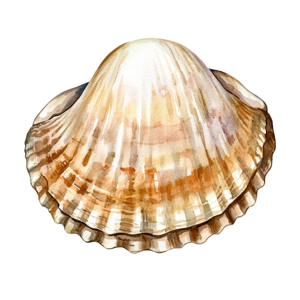 Watercolor Sea Shells Fabric Panel 24 featuring a detailed hand-painted seashell in soft natural hues on premium quilting cotton.
