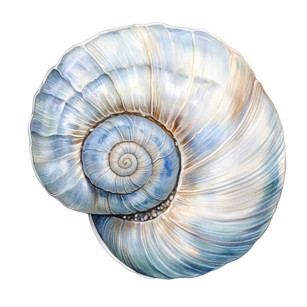 Watercolor Sea Shells Fabric Panel 12 featuring a detailed spiral seashell design in soft blue and beige tones on premium quilting cotton.