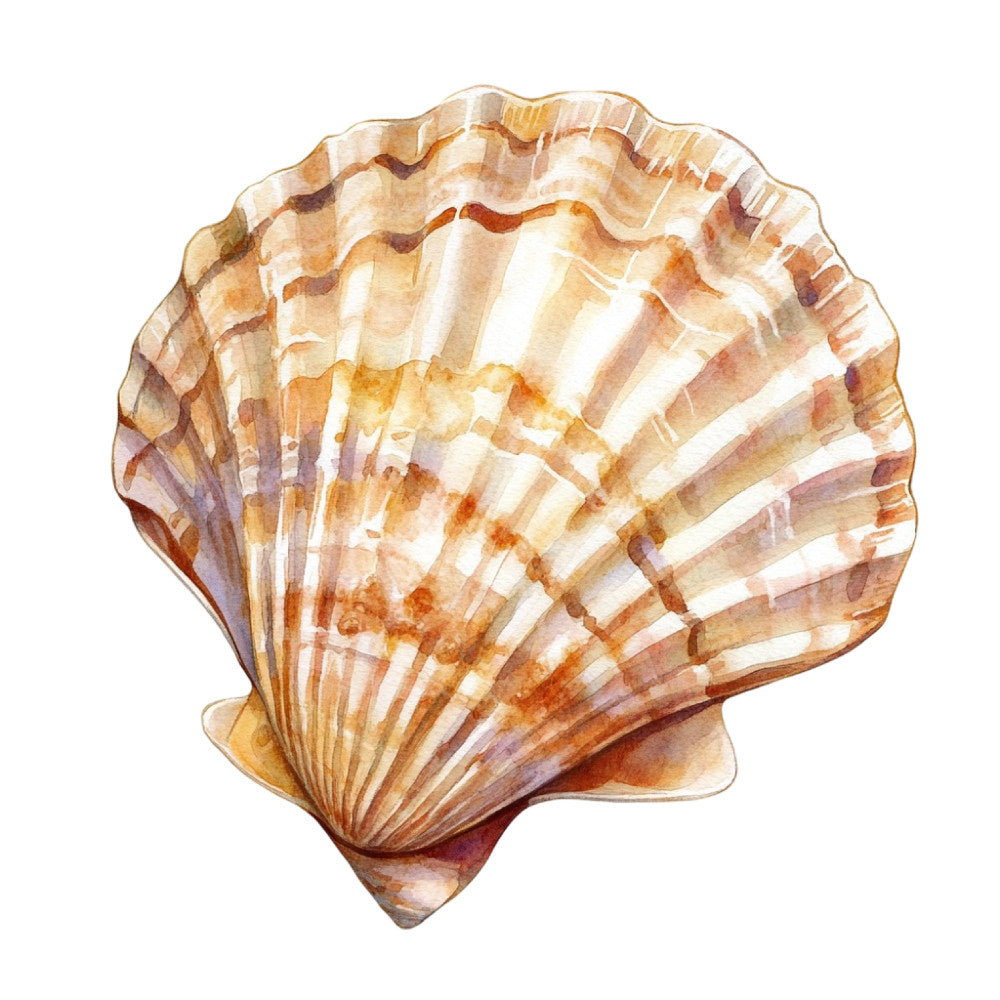 Watercolor Sea Shells Fabric Panel 28 featuring a detailed, artistic scallop shell printed on premium quilting cotton.