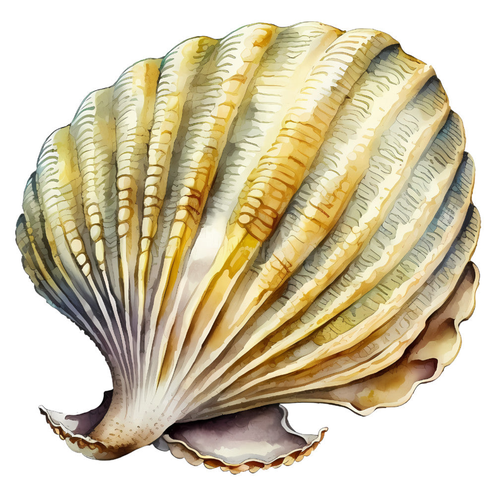 seashell, oyster, cream, ivory, golden yellow, tan, beige, bronze, nautical, coastal, ocean, beach, marine life, mollusk, shell pattern, realistic illustration, nature, seaside, elegant, detailed, summer, coastal decor, home accent, wall hanging, educational, natural history, aquatic, ocean creatures, botanical illustration style