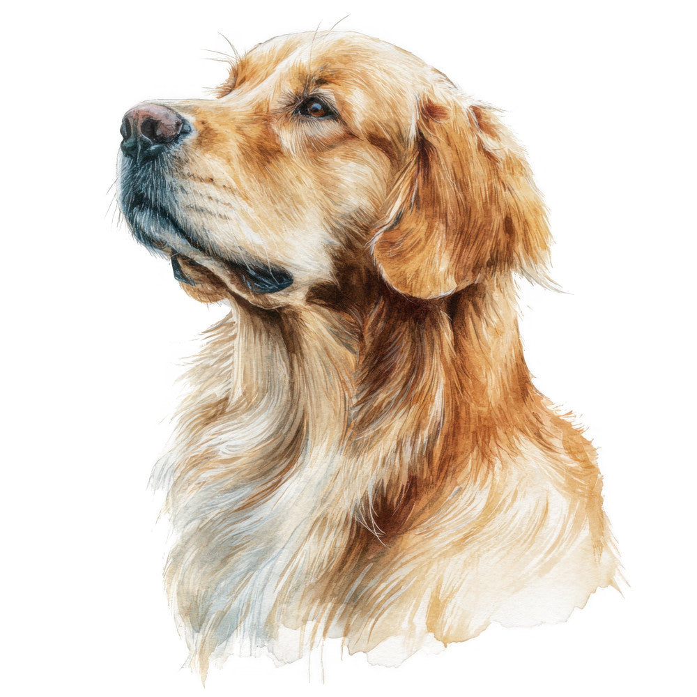 golden retriever, dog portrait, dog face, hunting dog, sporting dog, pet portrait, animal lover, dog breeds, cream, tan, golden brown, rust, chocolate brown, black nose, realistic, portrait style, animal illustration, pet themed, dog enthusiast, nature inspired, loyal companion, home decor, wall art, framed art, dog breed fabric, retriever breed, gentle expression, noble dog, traditional style, detailed illustration