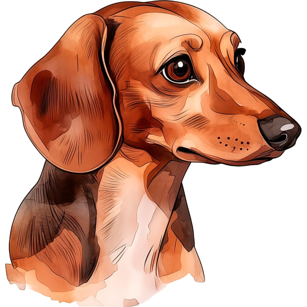 dachshund, dog portrait, rust orange, burnt orange, chocolate brown, tan, cream, animal, pet, realistic, illustration, watercolor style, dog lover, whimsical, modern, contemporary, cute animals, dog breed, long-haired dachshund, puppy, pet portrait, animals, nature inspired, home decor, wall hanging, dog quilt, pet fabric, adorable, expressive eyes