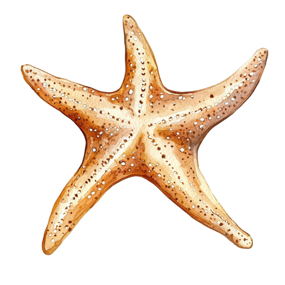 Watercolor Sea Shells Fabric Panel 10 featuring detailed brown and beige starfish design on premium quilting cotton.