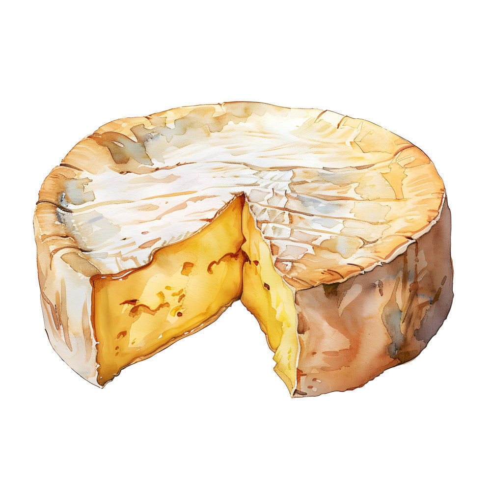 baked brie, cheese, food, gourmet, culinary, cream, golden yellow, warm tan, beige, brown, realistic, food illustration, foodie, kitchen, culinary art, cheese wheel, artisan, farmhouse, rustic, elegant, gourmet food, cheese lover, culinary themed, food art, detailed illustration, sophisticated, culinary decor, cheese motif, food themed