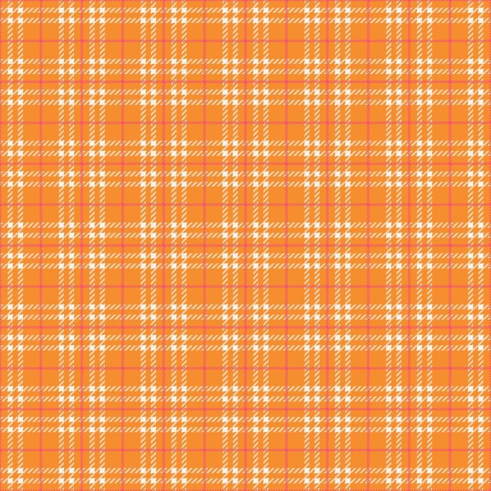 Plaid for Summer Pattern 13 Quilting Cotton Fabric