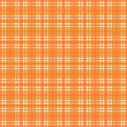 Plaid for Summer Pattern 13 Quilting Cotton Fabric