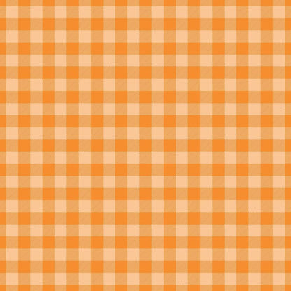 Plaid for Summer Pattern 16 Quilting Cotton Fabric