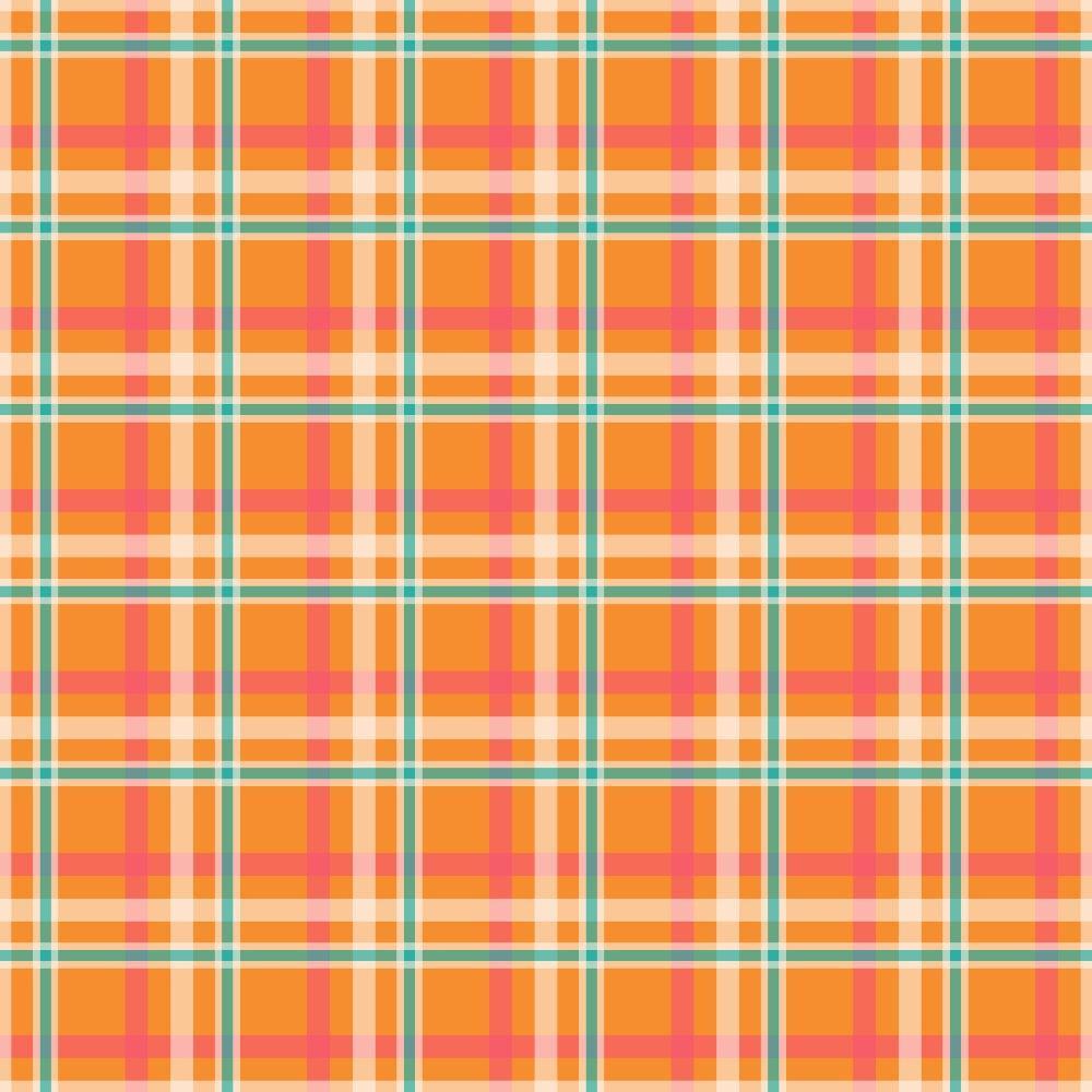 Plaid for Summer Pattern 19 Quilting Cotton Fabric