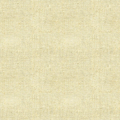 Burlap Linen Pattern 22 Quilting Cotton Fabric