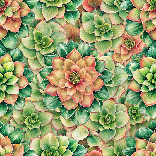 Beautiful Flowers Euphorbia Pattern 15 Quilting Cotton Fabric