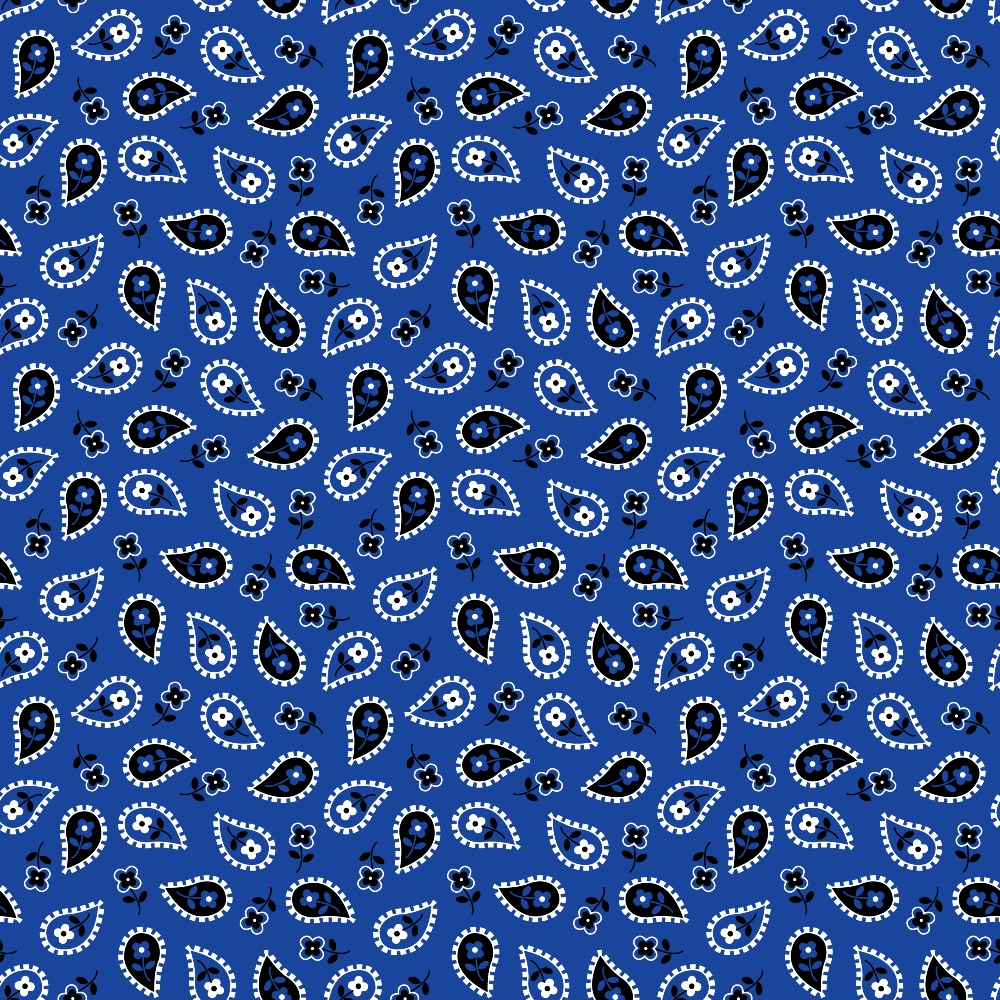 Cobalt Paisley Pattern 6 Minky Fabric