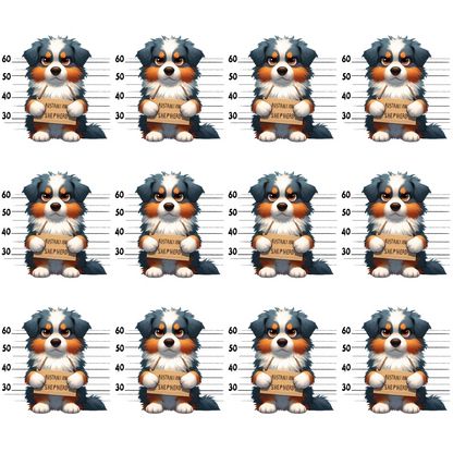 Doggie Mugshots Australian Shepherd Pattern Minky Fabric
