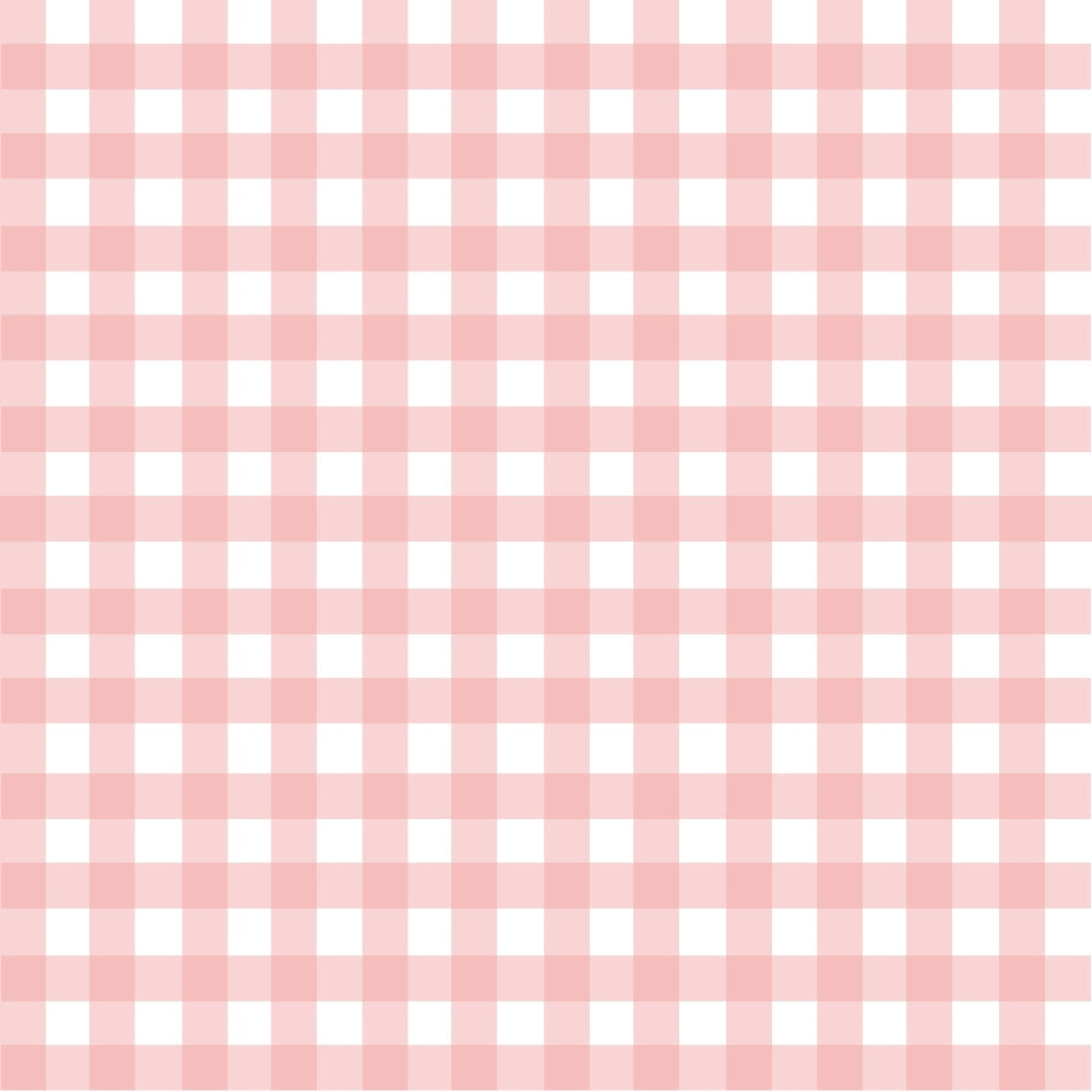 Gingham Peach Puff Minky Fabric