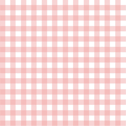 Gingham Peach Puff Minky Fabric