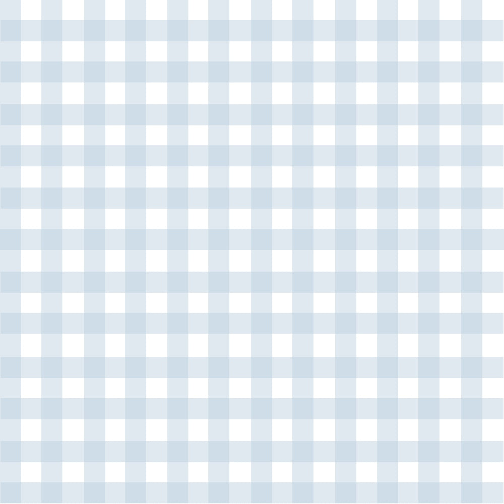 Gingham Spindle Minky Fabric