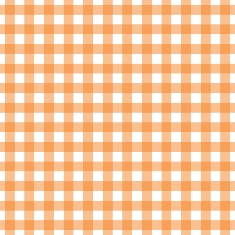 Pumpkin Gingham Pattern 6 Minky Fabric