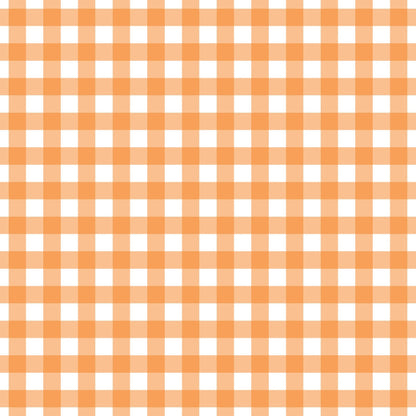 Pumpkin Gingham Pattern 6 Minky Fabric