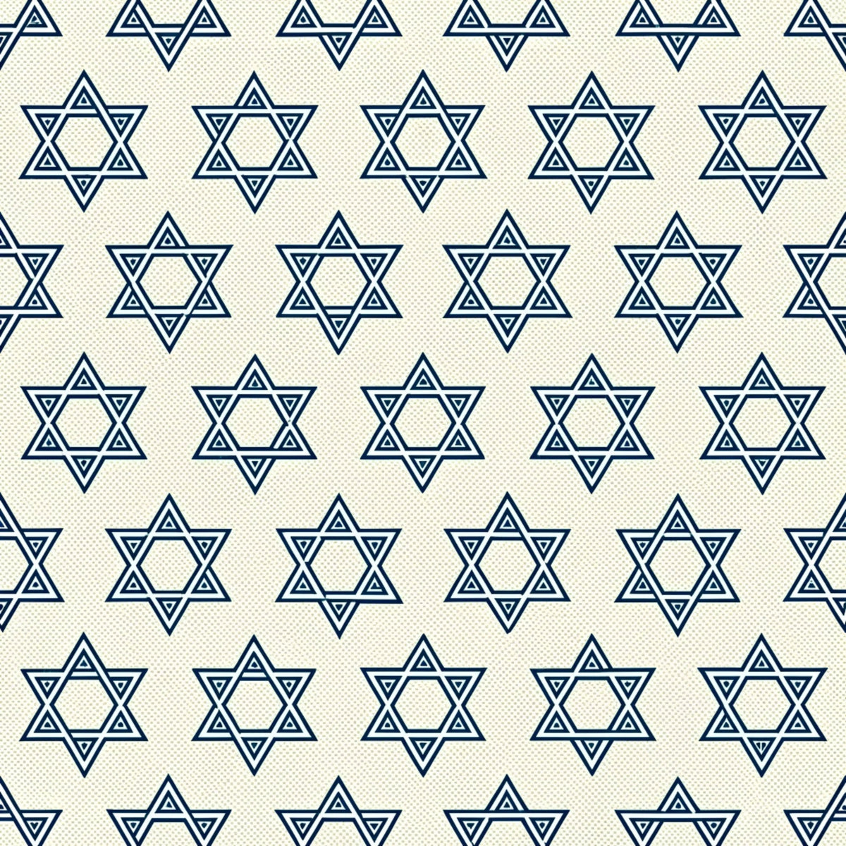Festival of Lights Pattern 27 Minky Fabric