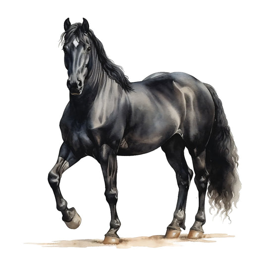Majestic Horse Fabric Panel 19 featuring a detailed, realistic black horse illustration on premium quilting cotton fabric.