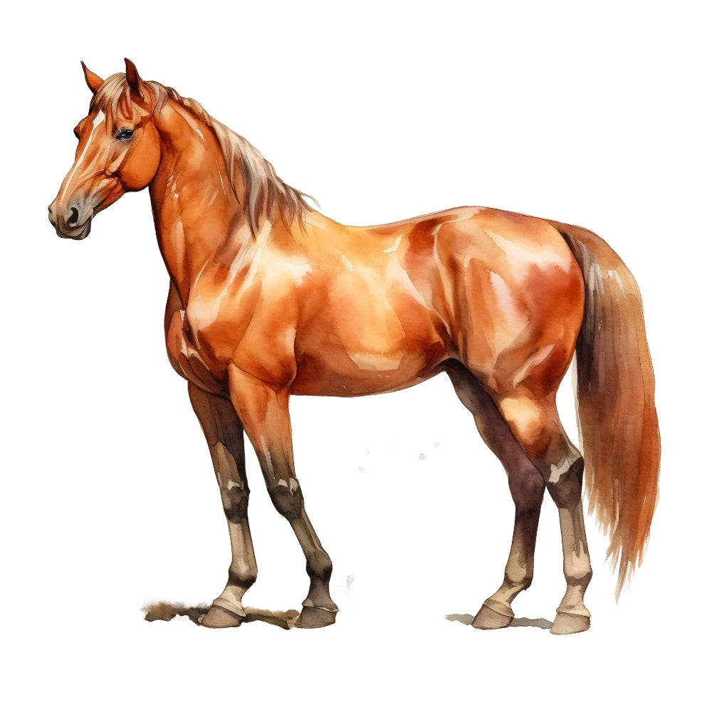 Majestic Horse Fabric Panel 34 features a realistic brown horse illustration printed on premium quilting cotton.