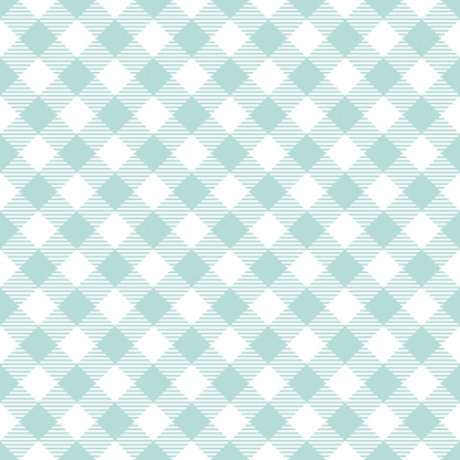 Seafoam Gingham Pattern 11 Minky Fabric