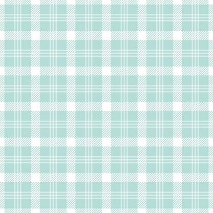 Seafoam Gingham Pattern 12 Minky Fabric