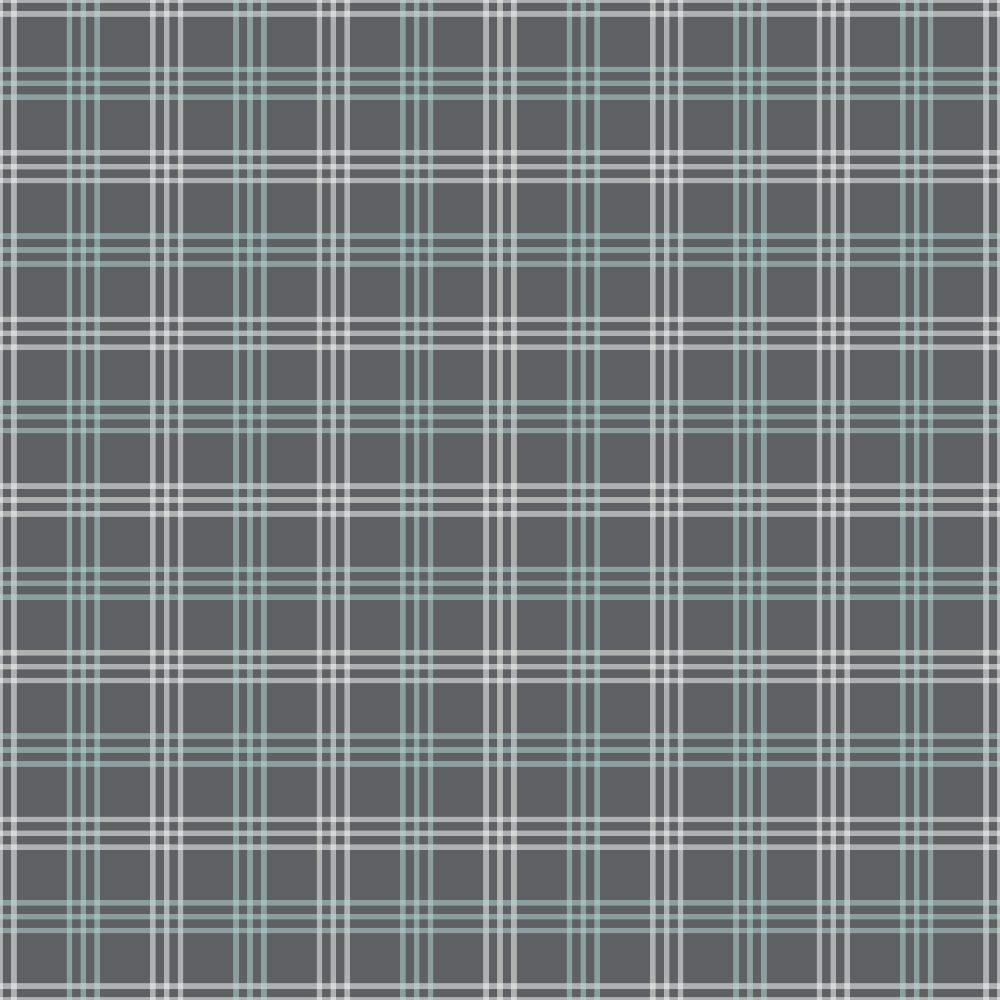 Seafoam Gingham Pattern 13 Minky Fabric