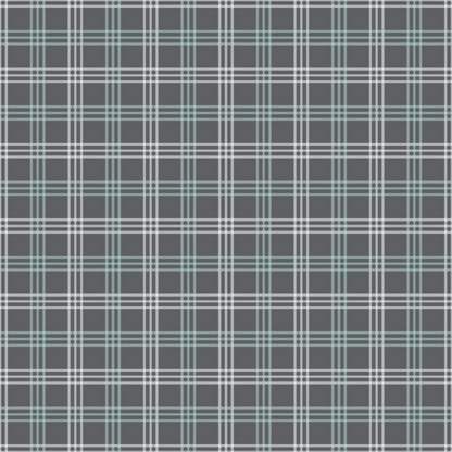 Seafoam Gingham Pattern 13 Minky Fabric